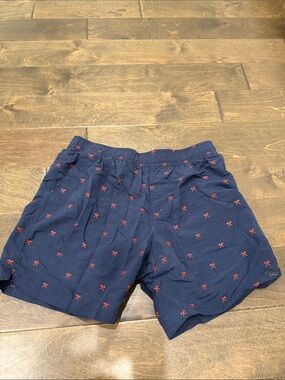 North face men’s shorts